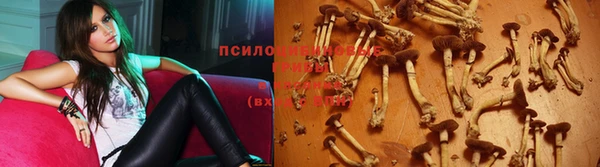 каннабис Арсеньев